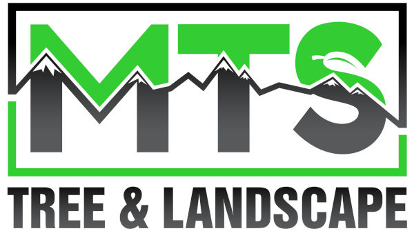 MTS Tree & Landscaping MTS Tree & Landscaping